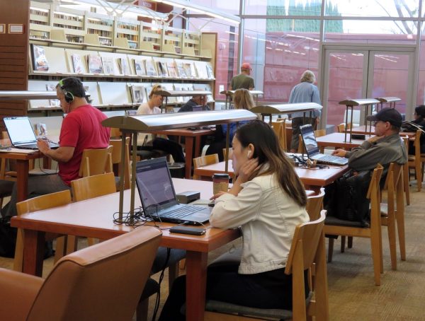Estrategias de formación inicial para Encargados (as) de Bibliotecas Escolares (CRA)