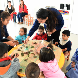ESTRATEGIAS PARA FORTALECER LA FUNCIÓN DEL ASISTENTE DE AULA